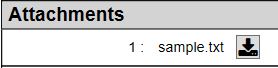 2.3.31.0 - Attachments.jpg